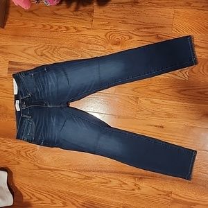 Loft Size 27 (4 Petite) Modern Skinny Jeans